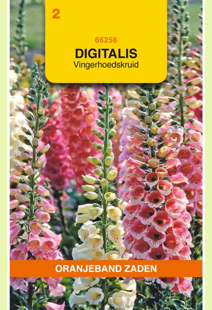 Digitalis purpurea mix 0.5g - afbeelding 1
