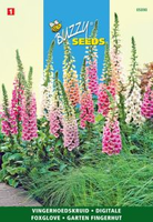 Digitalis purpurea mix 0.5gram - afbeelding 4