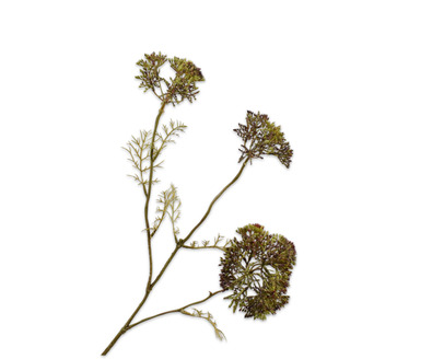 Dilletak l74cm paars