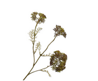 Dilletak l74cm paars