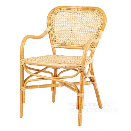 DINING CHAIR WEBBING BLOND 