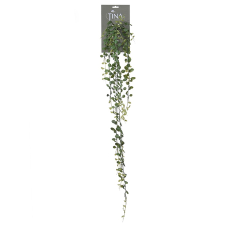 Dischidia hanger l105cm groen (Zijde-plant)