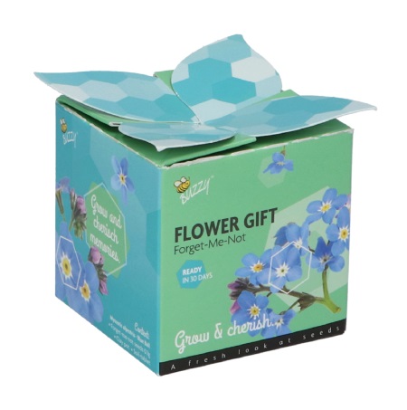 Display green gift vergeet-me-niet