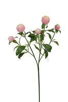 Distel l65cm roze