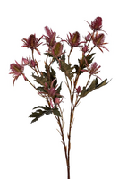 Distelsteel l67cm burgundy