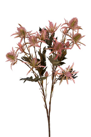 Distelsteel l67cm roze