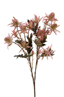 Distelsteel l67cm roze