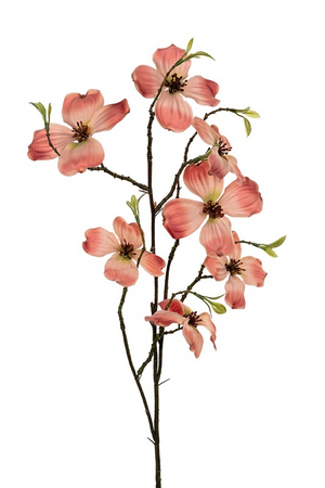 Dogwoodsteel l72cm zalm