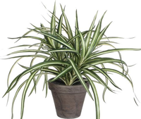 Dracaena in pot d40h34cm groen (Zijde-plant)