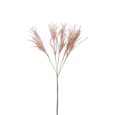 Droogbloem-look gras d10l76cm bruin