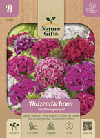 Duizendschoon enkelbloemig mengsel 60st