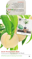 Dwerg Perzik 'Ice Peach'