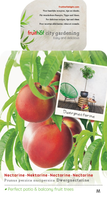 Dwergnectarine grootvruchtig