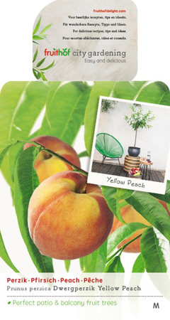 Dwergperzik 'Yellow Peach' - afbeelding 1