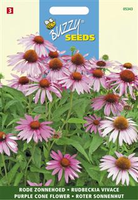 Echinacea purpurea roodbloei. 0.5gram - afbeelding 4