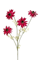 Echinaceasteel l56cm cerise - afbeelding 2