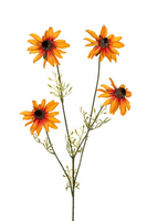 Echinaceasteel l56cm oranje