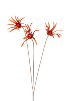 Echinaceasteel x3 l100cm oranje