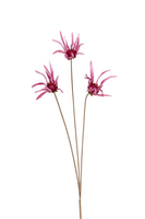 Echinaceasteel x3 l100cm roze
