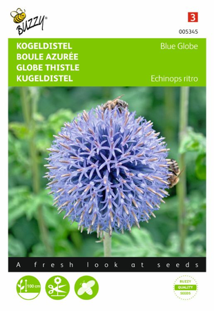 Echinea ritro kogeldistel 0.5gram - afbeelding 1
