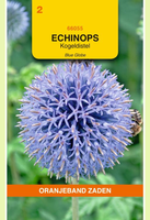 Echinops ritro violet-blauw 0.5gram