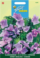 Echium plantagineum blue bedder 1gram - afbeelding 4