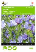 Echium plantagineum blue bedder 1gram