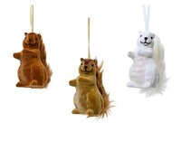 Eekhoorn plc l5.5b9h11cm per stuk