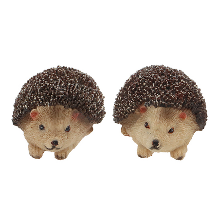 Egel klein xs l7b5h4cm ass