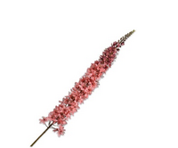 Eremurussteel l109cm lichtroze