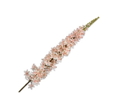 Eremurussteel l109cm perzik