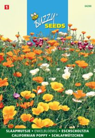 Eschscholtzia californica enkelb 1gram - afbeelding 4