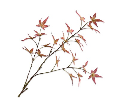 Esdoorntak l108cm oranje/geel