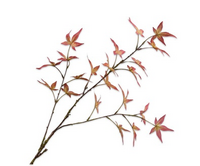 Esdoorntak l108cm oranje/geel