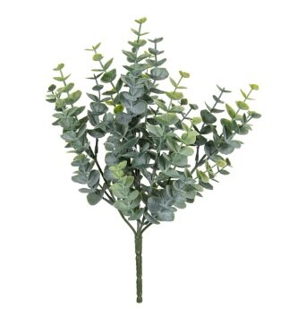 Eucalyptus bkt h27cm groen
