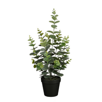 Eucalyptus d23h53cm groen