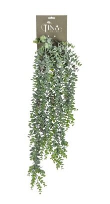 Eucalyptus hanger l80cm grn header