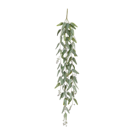 Eucalyptus l117b20h4cm groen