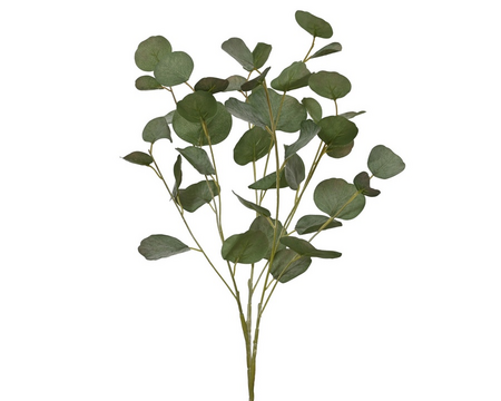 Eucalyptussteel l31b28h78cm grn