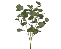 Eucalyptussteel l31b28h78cm grn