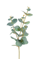 Eucalyptussteel l37cm groen
