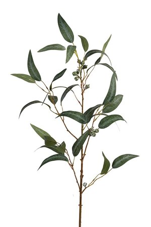 Eucalyptussteel l95cm groen