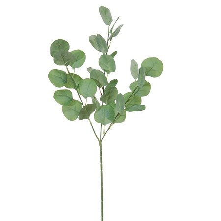 Eucalyptustak l65cm groen