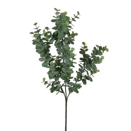 Eucalyptustak l65cm groen