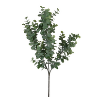 Eucalyptustak l65cm groen