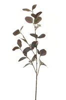 Eucalyptustak l75cm burgundy