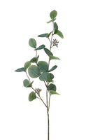 Eucalyptustak l75cm donker groen (Zijde-tak)