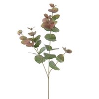 Eucalyptustak l75cm groen/rood