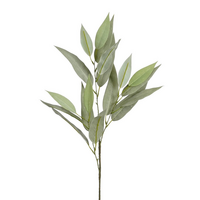 Eucalyptustak l78cm groen