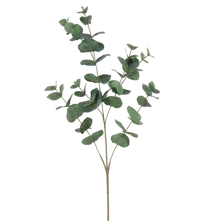 Eucalyptustak l90cm groen